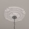 Ekena Millwork Southampton Ceiling Medallion (Fits Canopies up to 2 3/4"), 16 3/8"OD x 1 3/4"P, Primed White CM17SO - alternate 8